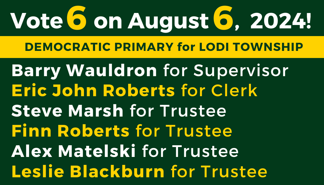 A campaign sign that reads "Vote 6 on August 6, 2024. Democratic Primary for Lodi Township. Barry Wauldron for Supervisor, Eric John Roberts for Clerk, Steve Marsh for Trustee, Finn Roberts for Trustee, Alex Matelski for Trustee, Leslie Blackburn for Trustee.
