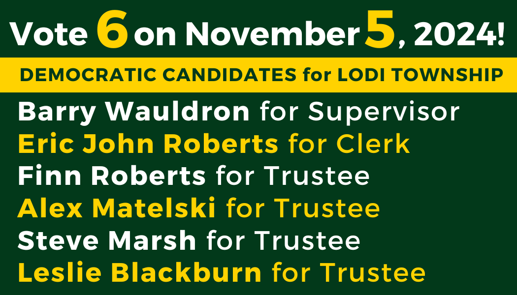 A campaign sign that reads "Vote 6 on August 6, 2024. Democratic Primary for Lodi Township. Barry Wauldron for Supervisor, Eric John Roberts for Clerk, Steve Marsh for Trustee, Finn Roberts for Trustee, Alex Matelski for Trustee, Leslie Blackburn for Trustee.